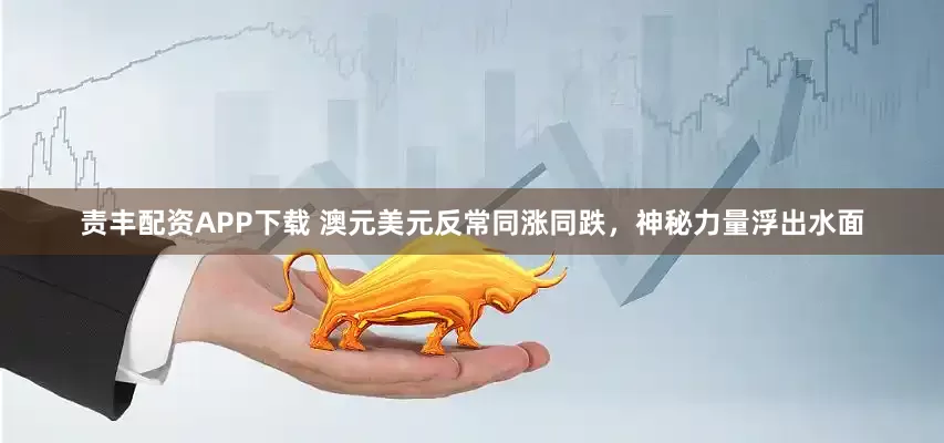 责丰配资APP下载 澳元美元反常同涨同跌，神秘力量浮出水面