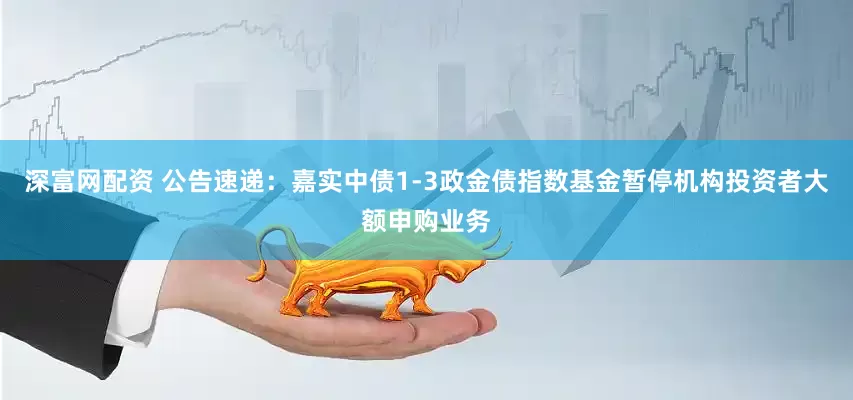 深富网配资 公告速递：嘉实中债1-3政金债指数基金暂停机构投资者大额申购业务