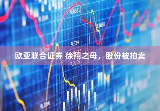 欧亚联合证券 徐翔之母，股份被拍卖